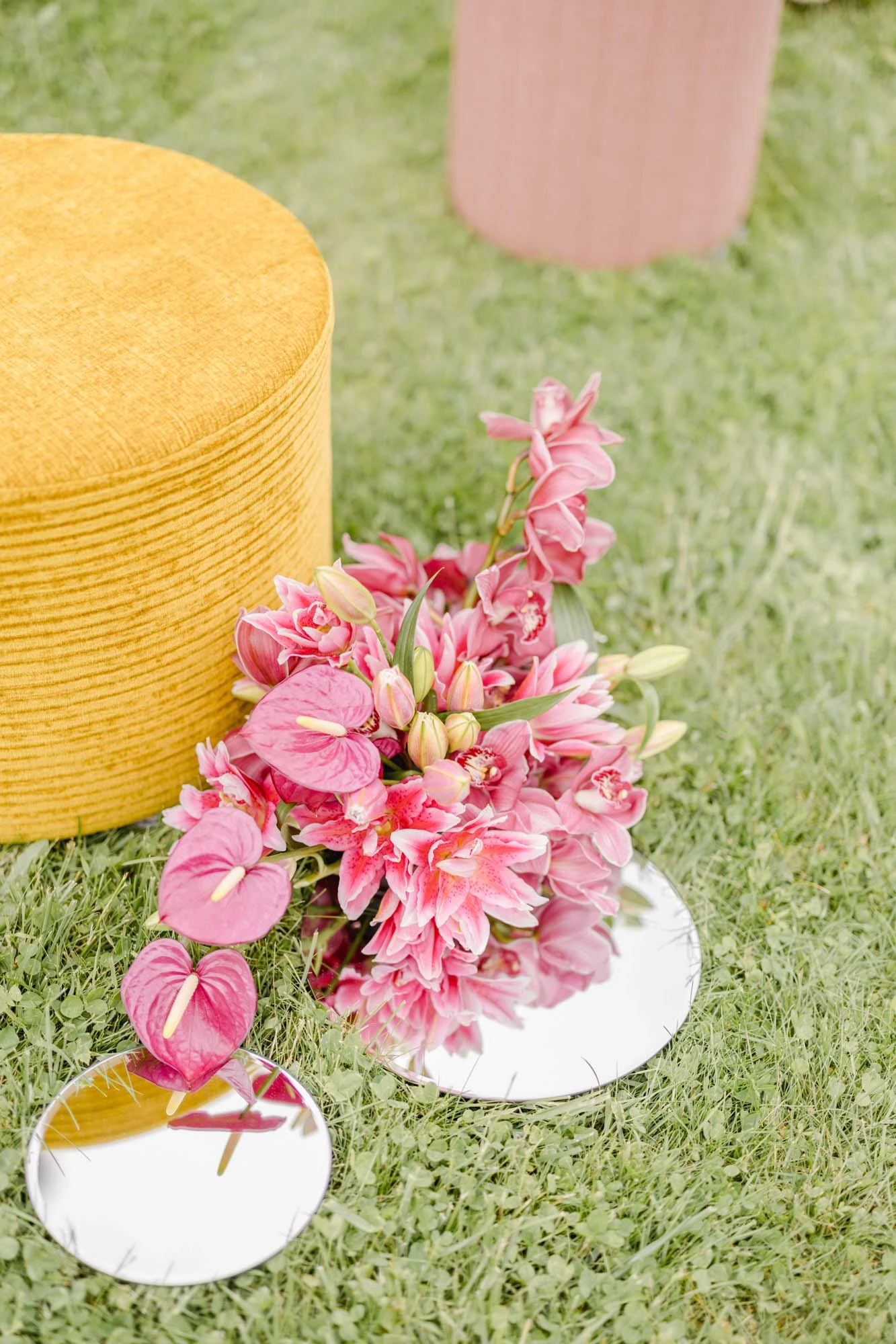 fleur pétale rose composition florale beige